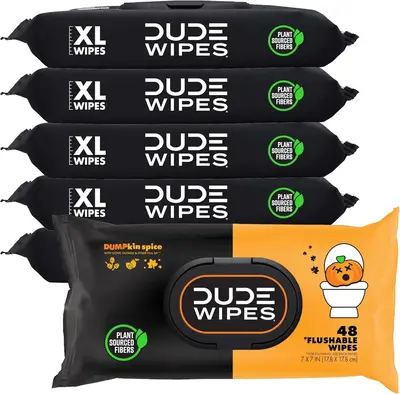 DUDE Wipes - Flushable Wipes - 6 Pack, 288 Wipes - DUMPkin Spice with Clove, Nutmeg, and Other Fall Scents - Septic and Sewer...