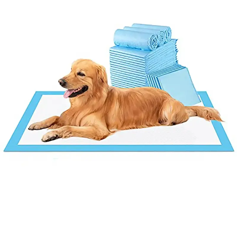 Cat Basic Disposable Pet Training Pad, 20pcs Neutralizing Unpleasant Odors, Protect Your Floors and Your Sense of Smell, Enti...