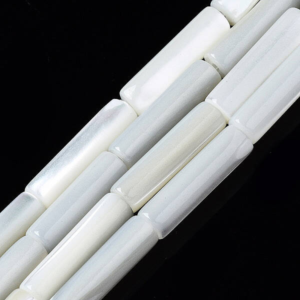 Natural Trochid Shell/Trochus Shell Beads Strands