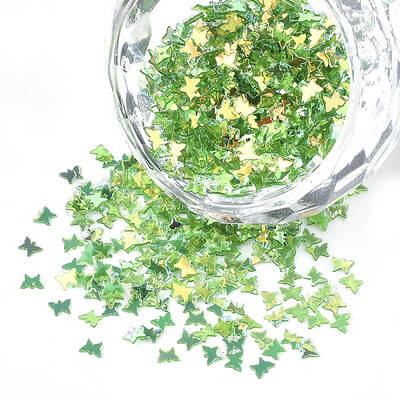 Shining Nail Art Glitter