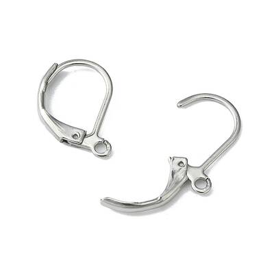 Tarnish Resistant 304 Stainless Steel Leverback Earring Findings