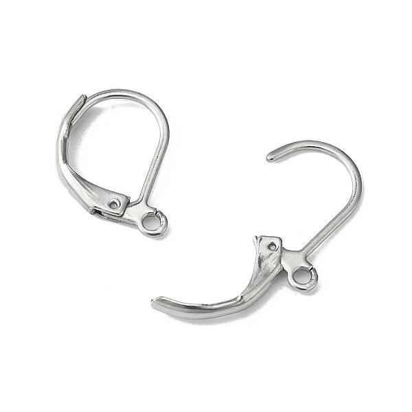 Tarnish Resistant 304 Stainless Steel Leverback Earring Findings