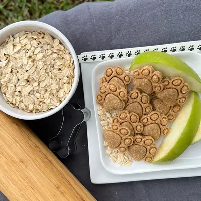 Apple Delight Organic Homemade Dog Treats