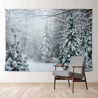 Aperturee Foggy Wild Forest Trees Snowy Winter Backdrop