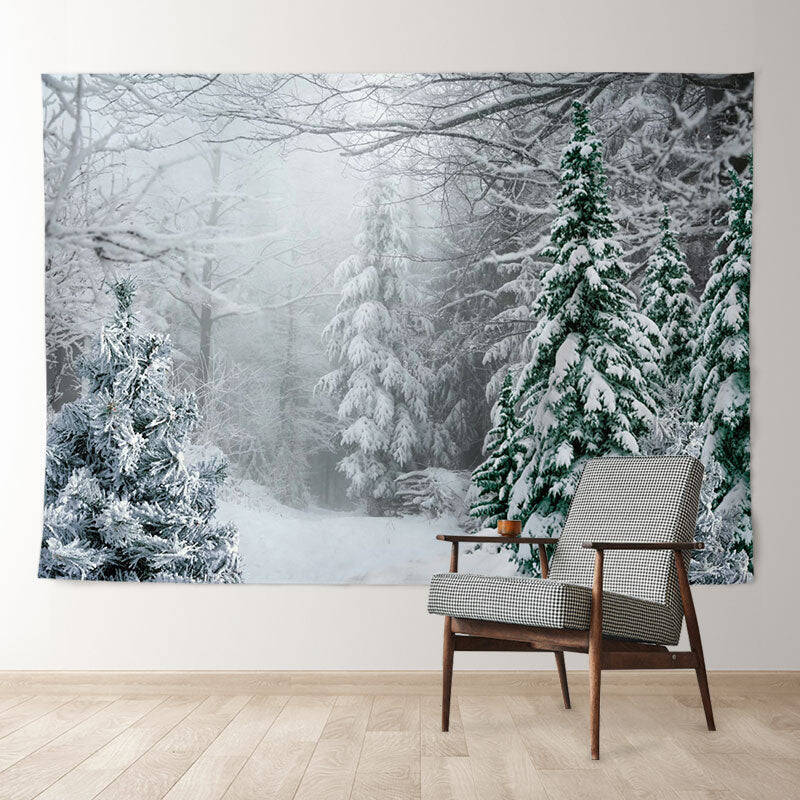 Aperturee Foggy Wild Forest Trees Snowy Winter Backdrop