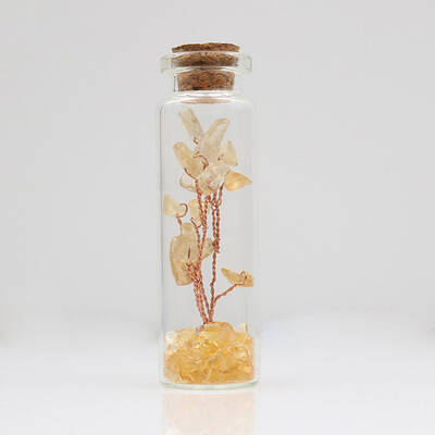 Glass Wishing Bottle Decorations