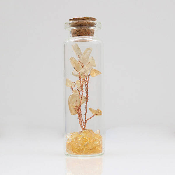 Glass Wishing Bottle Decorations