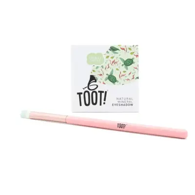 Toot! Totally Turtle Box Eyeshadow Set