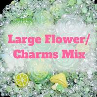 Flower Mixed with Pearls Rhinestone - Elegant Design for Any Occasion Floral