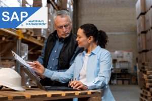 Diploma in SAP Material Management (MM) & Logistics