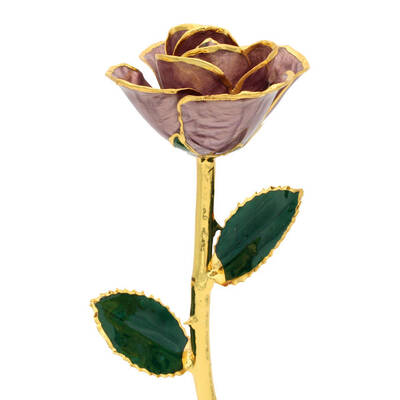 11 24k Gold Trimmed Velvet Lavender Rose