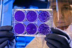 Biotechnology - Cell Biology Techniques