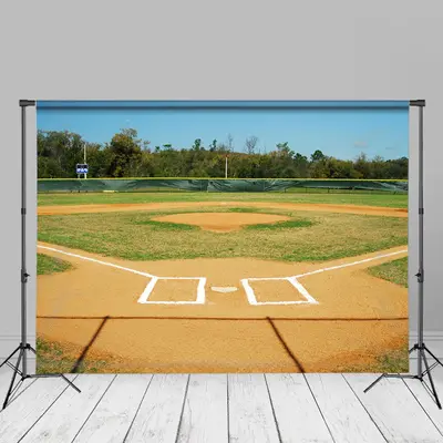 Baseball Park Blue Sky Sports Photography Backdrop - Aperturee