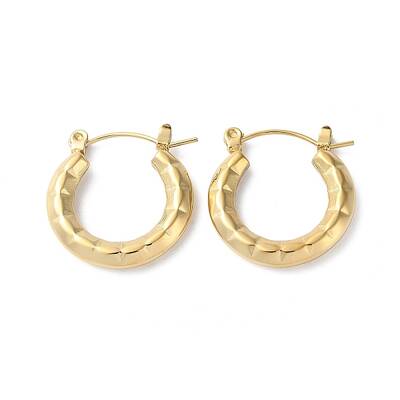 304 Stainless Steel Hoop Earrings