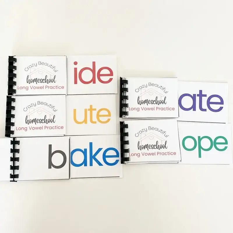 Long Vowel Flip Activity Books Set of 5 - Learning to Read with Silent E