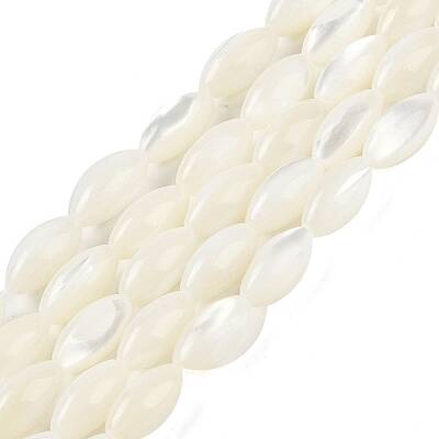 Natural Trochus Shell Beads Strands
