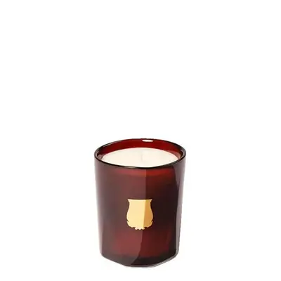 Trudon Cire Candle 70 g