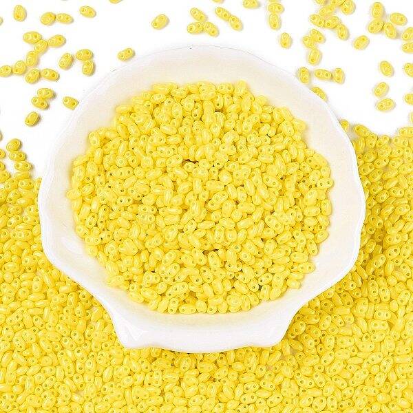 Baking Paint Glass Seed Beads