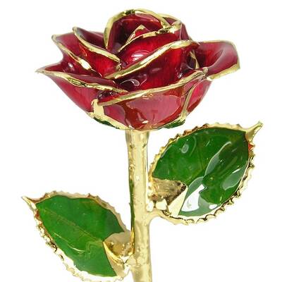 24k Gold Trimmed Rose: 11 Red Rose