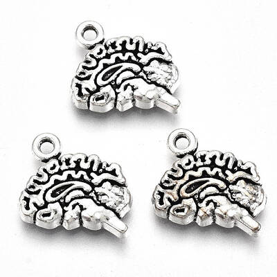 Tibetan Style Alloy Charms