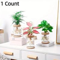 Transparent Hydroponic Flower Pot, Decorative Modern Hydroponic Flower Pot, Indoor/outdoor Use Garden Pot & Planter for Home ...