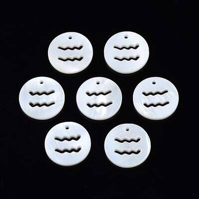 Natural Freshwater Shell Charms