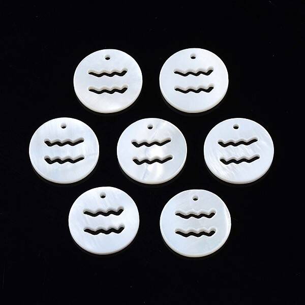 Natural Freshwater Shell Charms