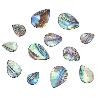 HOBBIESAY 12Pcs 3 Styles Natural Abalone Shell/Paua Shell Beads