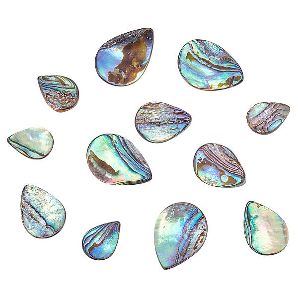 HOBBIESAY 12Pcs 3 Styles Natural Abalone Shell/Paua Shell Beads