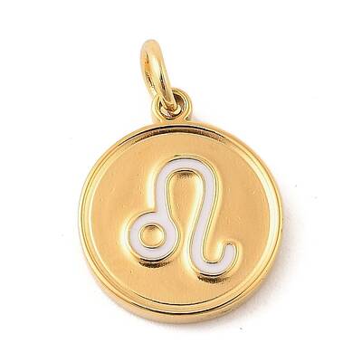 304 Stainless Steel Enamel Charms