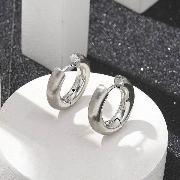 Frosted 304 Stainless Steel Huggie Hoop Earrings for Women
