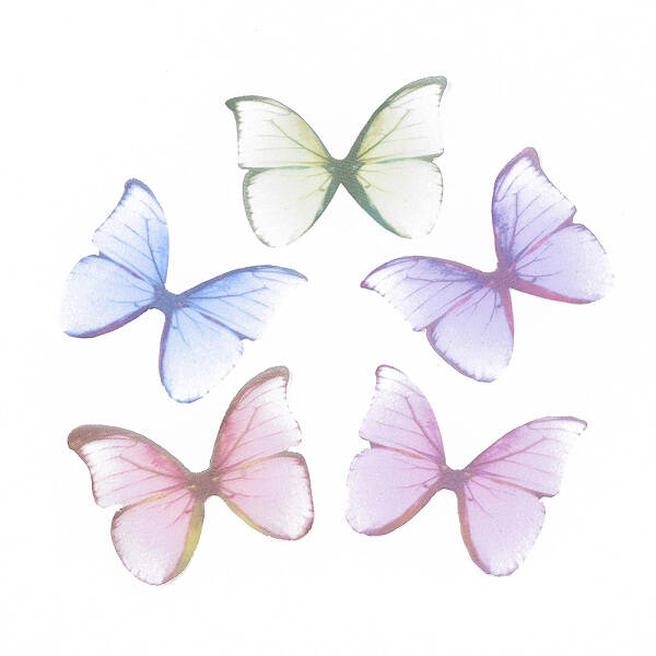 Two Tone Polyester Fabric Wings Crafts Decoration