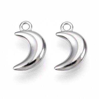 304 Stainless Steel Charms