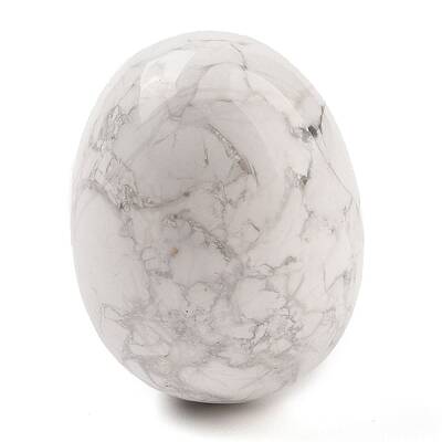 Natural Howlite Palm Stones