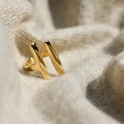 Dalia Double Bar Ring | Size: 5.5 | Material: Polished Brass