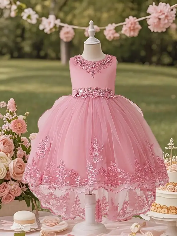 Flower Embroidery Design Princess Dress, Elegant Chiffon Round Neck Sleeveless Dress for Party Wedding Guest, Kids Clothes fo...