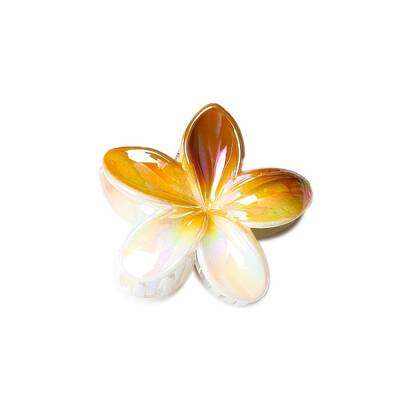 Resin Claw Hair Clips
