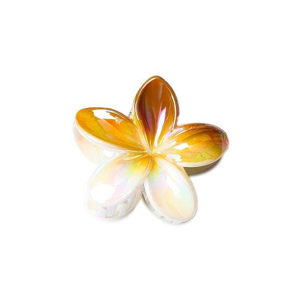 Resin Claw Hair Clips