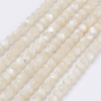 Natural Shell Beads Strands