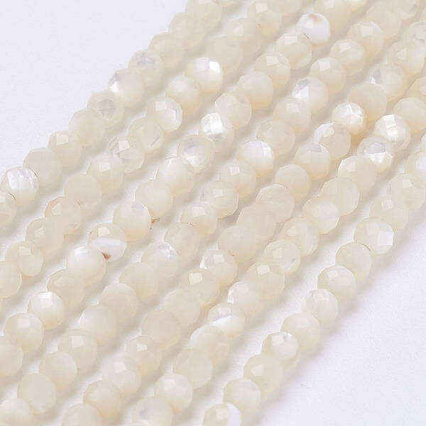 Natural Shell Beads Strands
