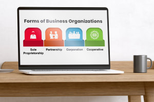 Forms of Business Organisations