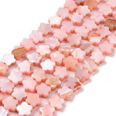 Natural Freshwater Shell Beads Strands