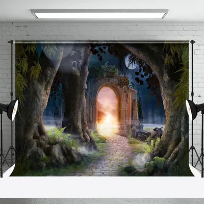 Night Arch Door Enchanted Forest Backdrop For Photo - Aperturee