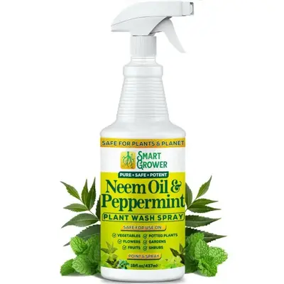 Neem Oil Spray for Plants with Peppermint Oil Natural Plant Wash Made for Indoor and Outdoor Plants Smart Grower 16oz Easy Re...