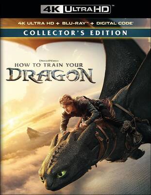 How To Train Your Dragon (2025)