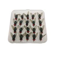 ebc Bait Flys- black fishing bait lure