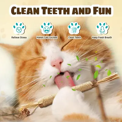 Silvervine Spark 4-Pack Interactive Cat Toys for Joyful Indoor Cats - Natural Edible Silvervine Sticks & Gall Fruit for Denta...