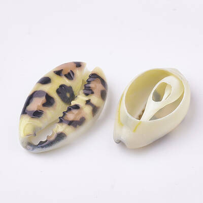 Printed Natural Cowrie Shell Beads