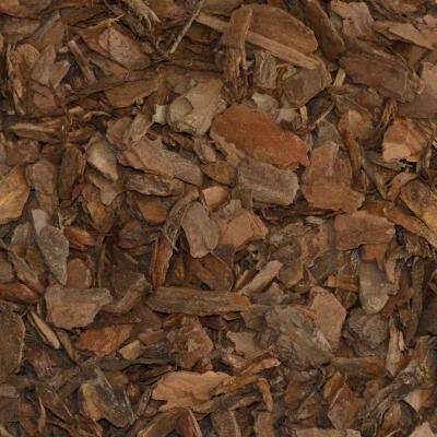 Cedarwood Essential Oil - 17mL & 60mL sizes | Fair Trade + Ethically Sourced | Size: 17mL