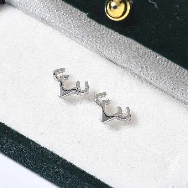 925 Sterling Silver Stud Earrings for Women